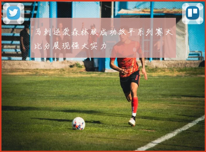 马刺逆袭森林狼成功扳平系列赛大比分展现强大实力