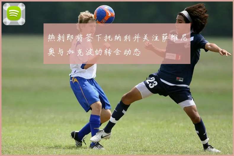 热刺即将签下托纳利并关注萨维尼奥与加克波的转会动态