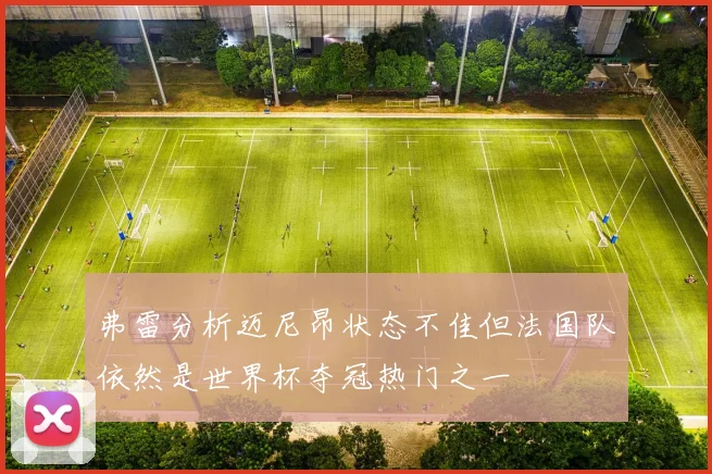 弗雷分析迈尼昂状态不佳但法国队依然是世界杯夺冠热门之一
