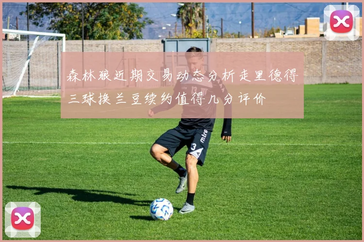 森林狼近期交易动态分析走里德得三球换兰豆续约值得几分评价