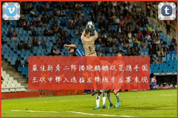 最佳新秀二阵揭晓鹈鹕双星携手国王双中锋入选猛龙锋线季后赛表现抢眼
